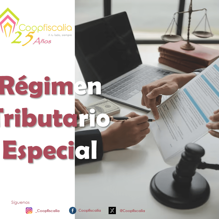 Regimen tributario especial